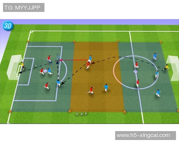 深入解析7人足球各位置职责与战术配合技巧助你提升比赛表现